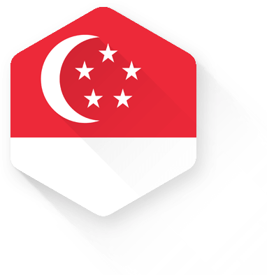 Сопровождение  бизнеса в Сингапуре