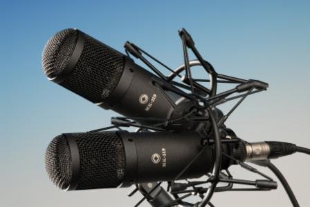  Microphone Octava MK 319
