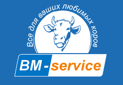 BM-Service LLC