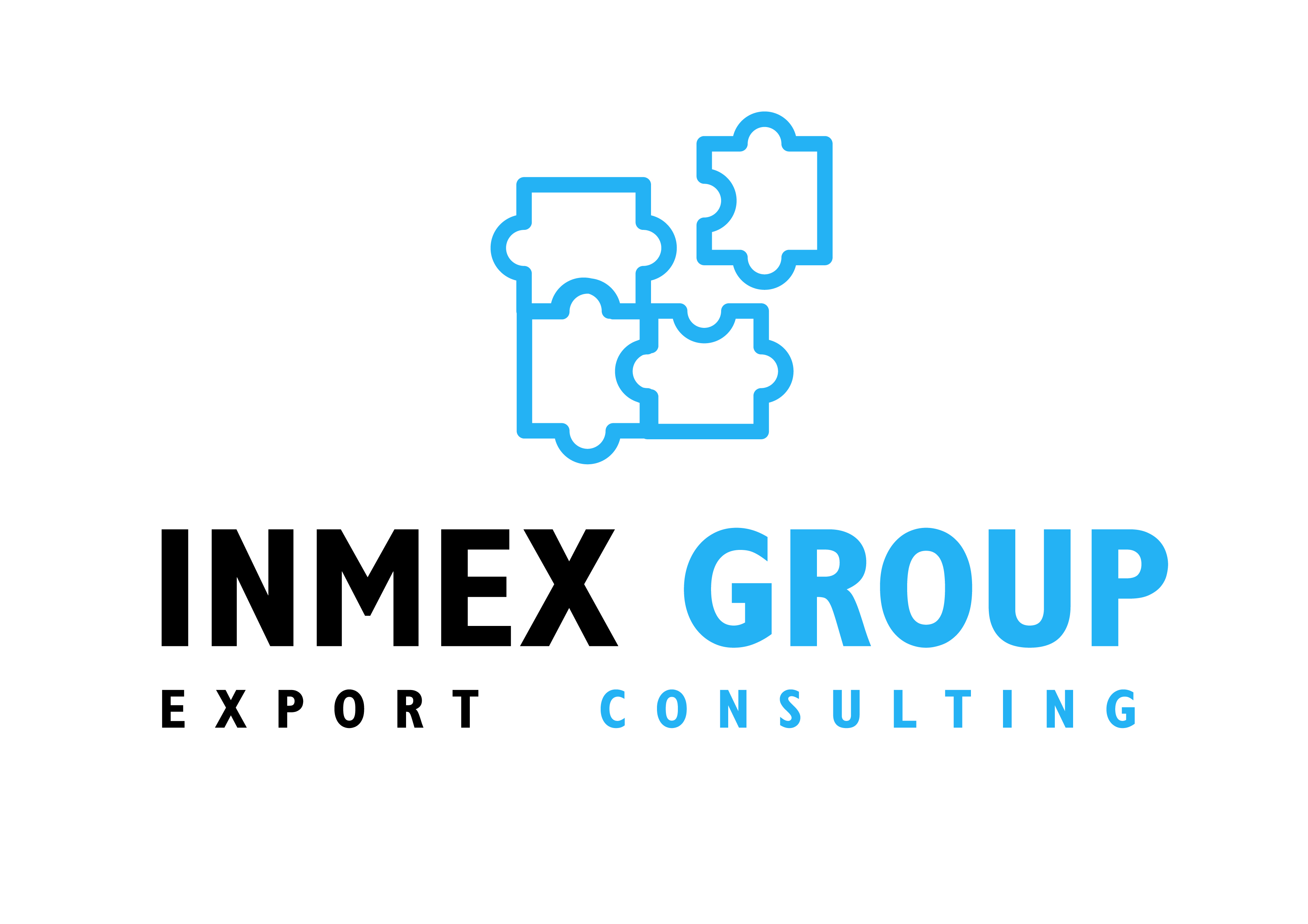 INMEX GROUP