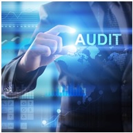 Legal, tax practice and compliance audit