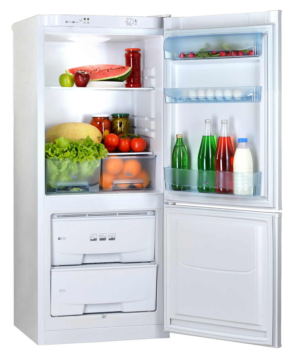 Refrigerator two-chamber household POZIS RK-101