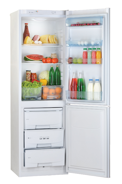 Refrigerator two-chamber household POZIS RK-149