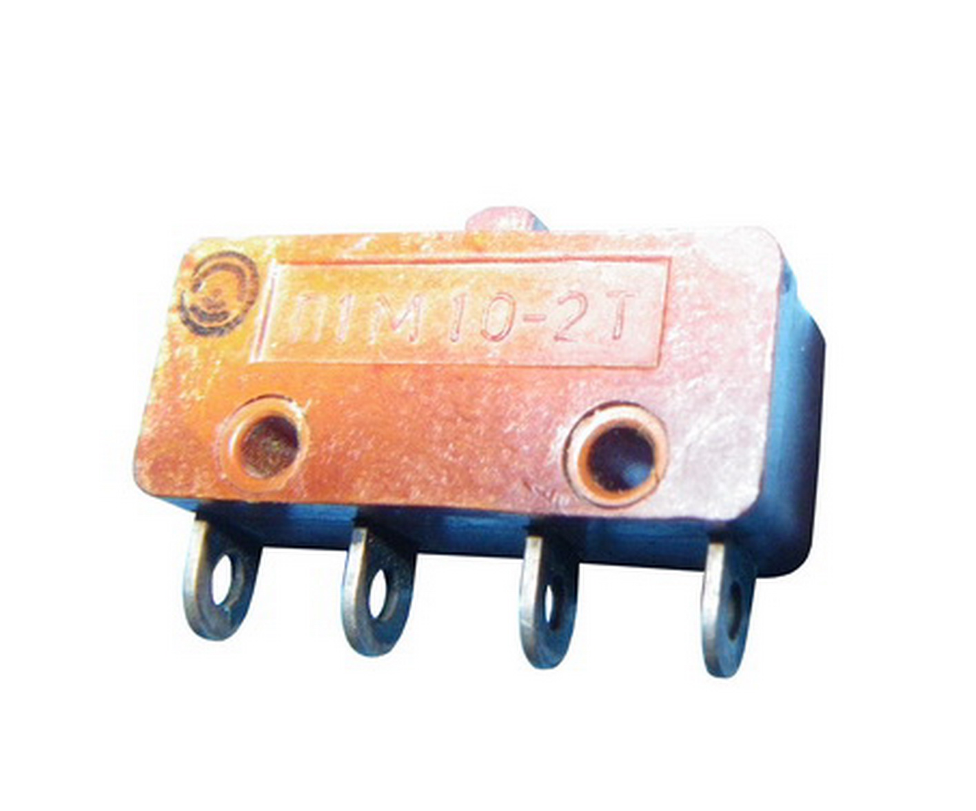 Microswitches P1M10