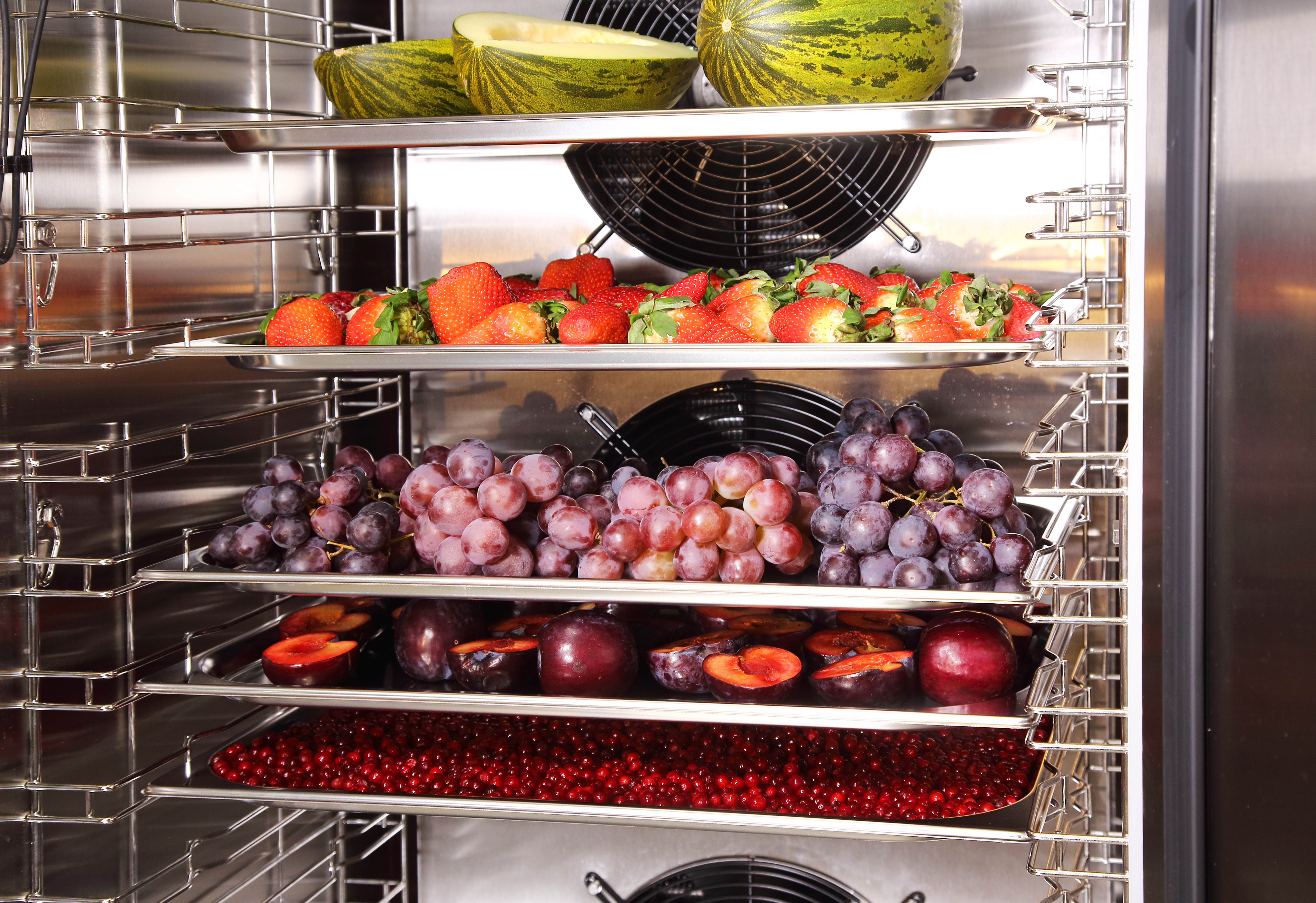 Шкаф шоковой заморозки ШОК-20-1/1AEF