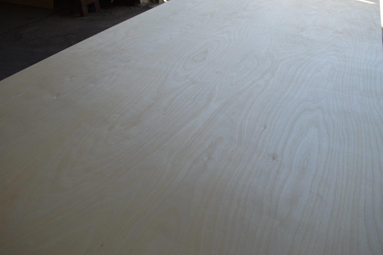 birch plywood