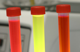 Fluorescently-labeled oligonucleotides