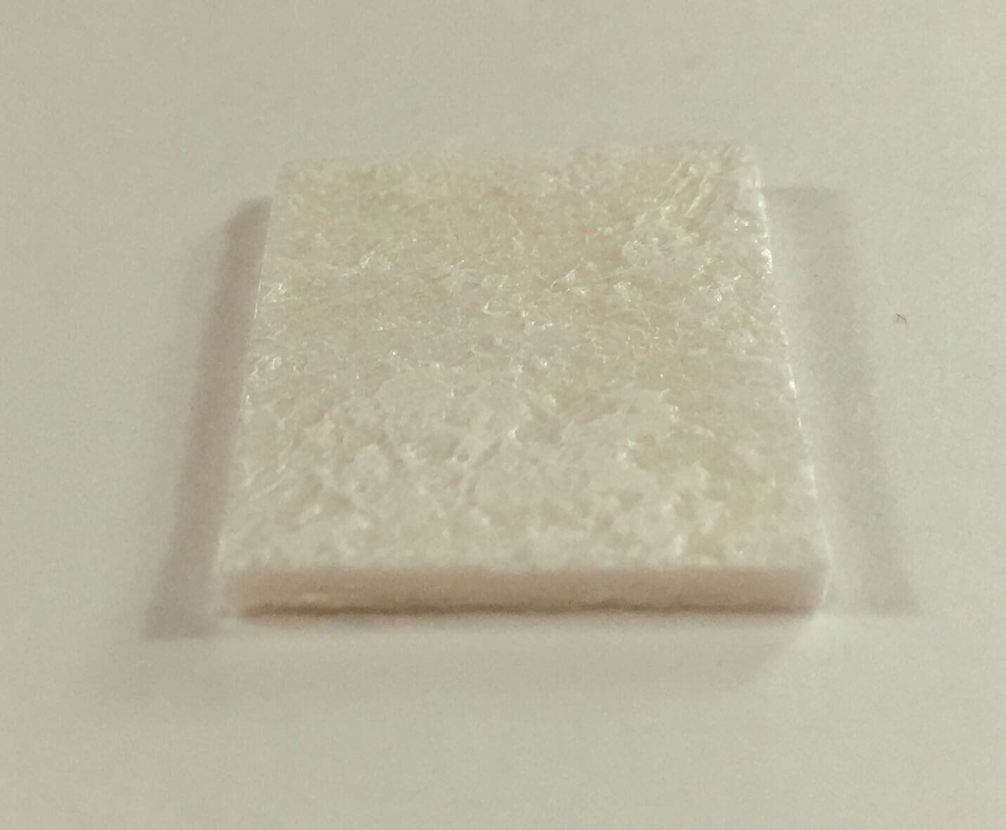 Biomatrix fleece (sponge plate)