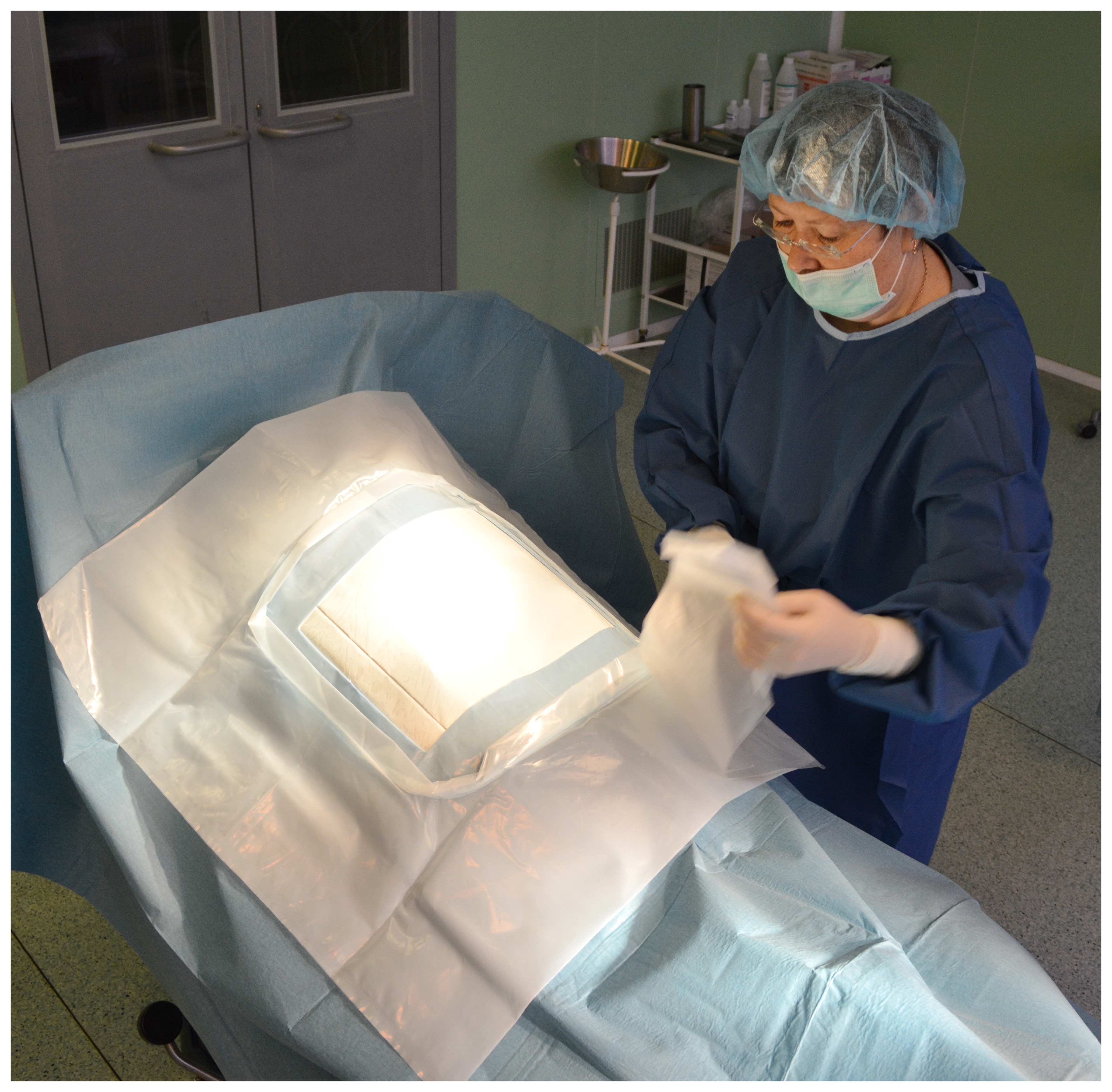 BEDDING FOR CESARA SECTION