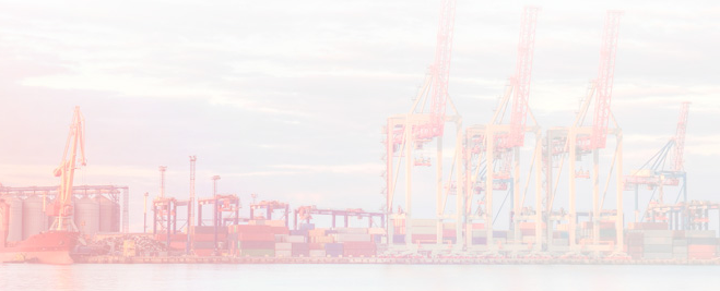 Международная транспортная экспедиция