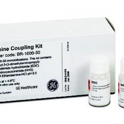 Reagent Kit for Amino Groups