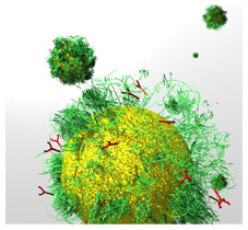 Creation of new high-performance nanoscale forms of biologically active and medical substances
