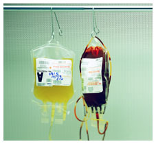  Immunostimulating polymers