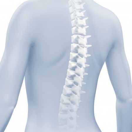 Spine topography