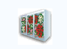 Цветочные камеры