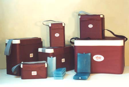 Portable medical thermal container