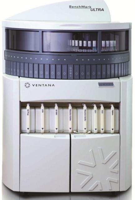 Immunostner automatic BenchMark ULTRA
