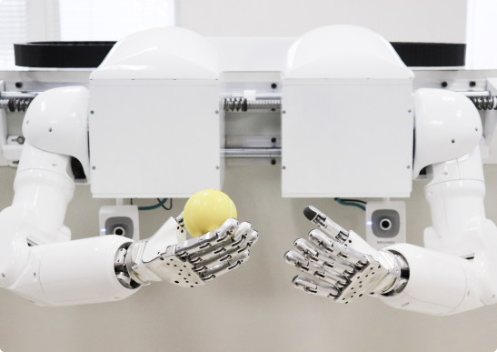 RL “Mechatronics of anthropomorphic robotic systems”
