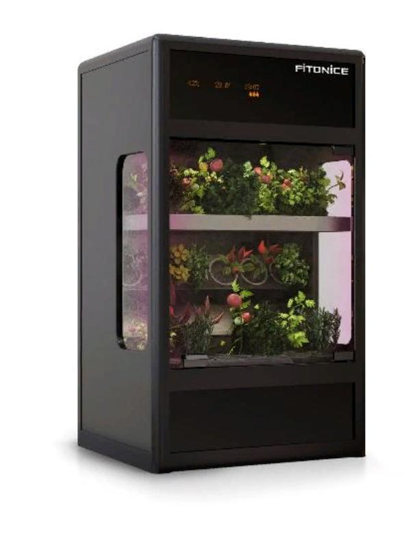 Home hydroponic plant Fitbox