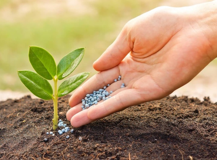 Nitrogen fertilisers,