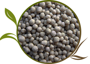 Ammonium superphosphate