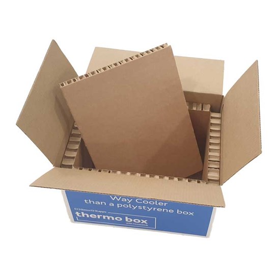 Упаковка с термоизолирующими свойствами ThermoBox 