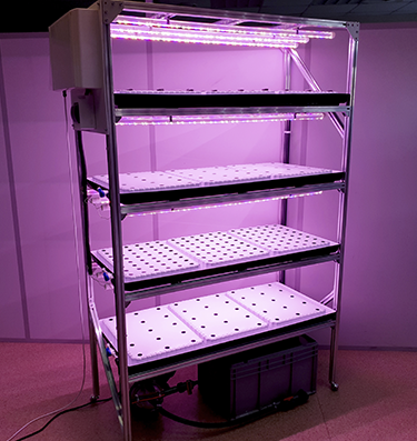 The CityFarmer Hydroponic Multi-shelves System