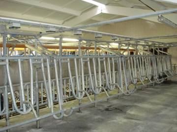 Milking machines 