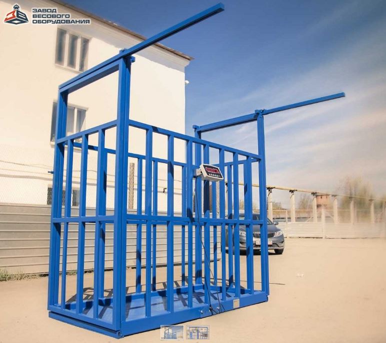 动物的鳞片100-5000公斤