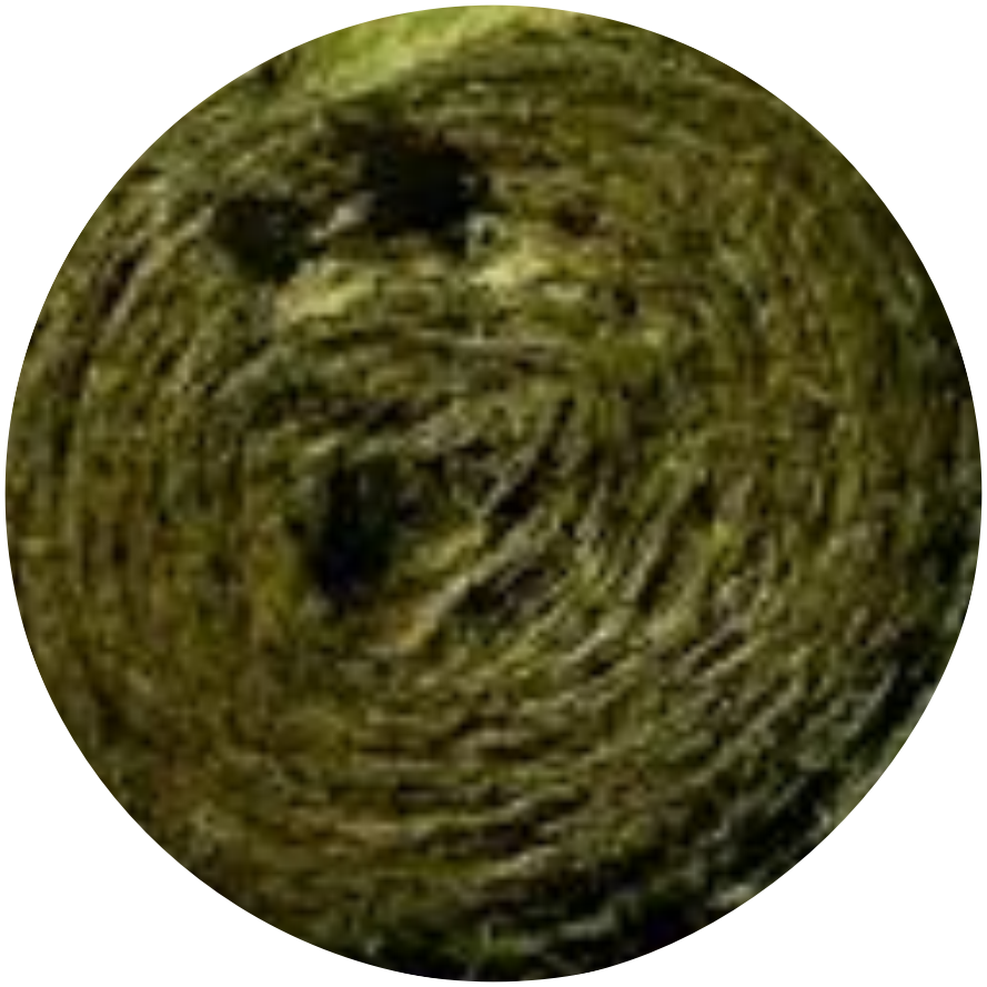 Alfalfa dan fescue (dalam butiran dan jerami).