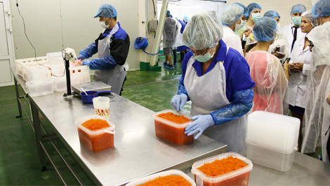 Готовое решение Икорный цех