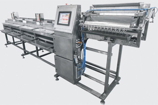 Линия сортировки и весового контроля