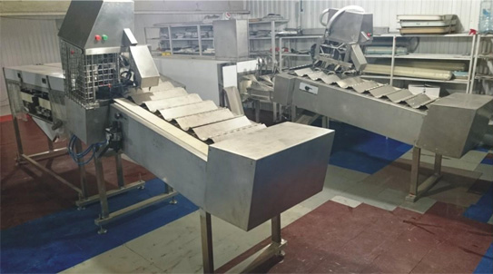 Линия разделки лососевых пород РПО-4ГБ