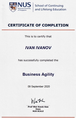 Online training for Russian companies «Business Agility»